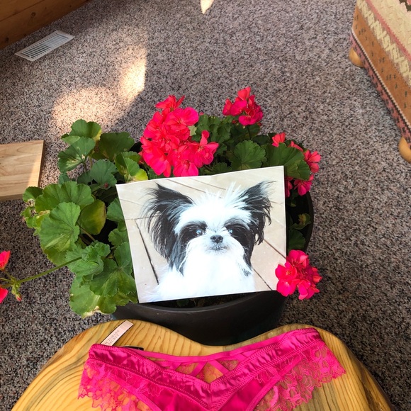 VS Very Sexy Lace Thong Size XSmall NWT Pink - Picture 7 of 11